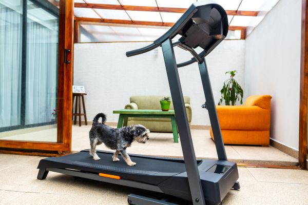 Cost of Treadmill Installation in Paso Robles
