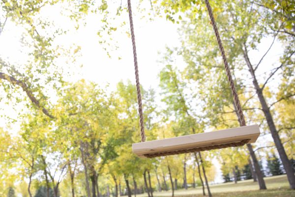 Cost of Tree Swing Installation in Paso Robles