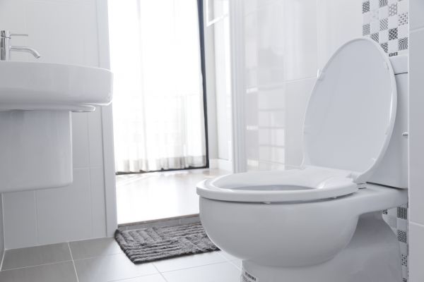 Cost of Toilet Seat Installation in Paso Robles