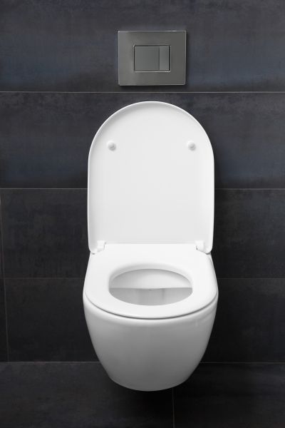 Cost of Toilet Lid Installation in Paso Robles
