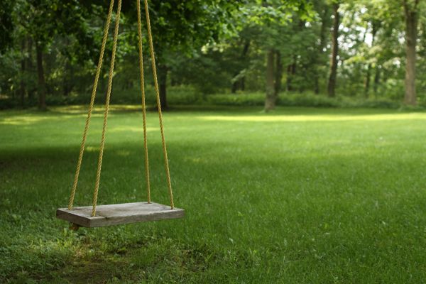 Cost of Rope Swing Installation in Paso Robles