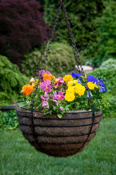 Cost of Hanging Basket Installation in Paso Robles