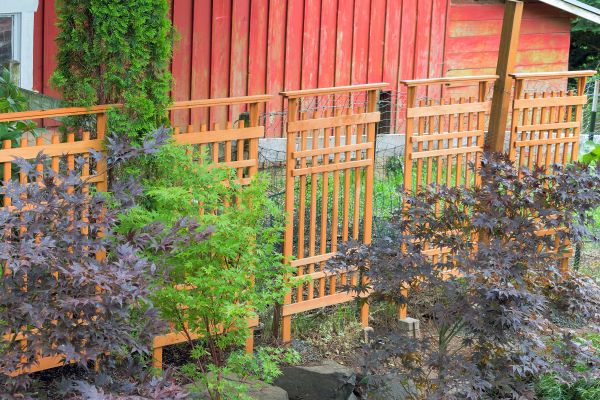 Wood Trellis Mounting in Paso Robles