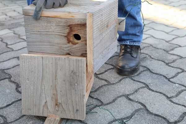 Cost of Birdhouse Mounting in Paso Robles