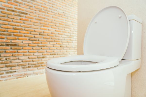 Cost of Toilet Seat Repair in Paso Robles